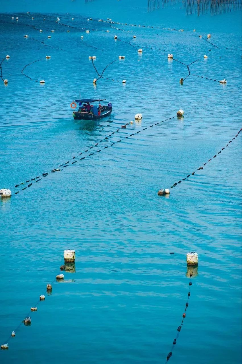 良心推荐夏日风光绝美的避暑胜地,夏季避暑胜地推荐4天