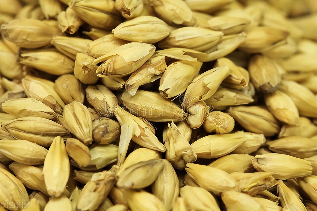 夏天喝温水祛湿气吗,夏天脾胃虚寒的人泡什么喝