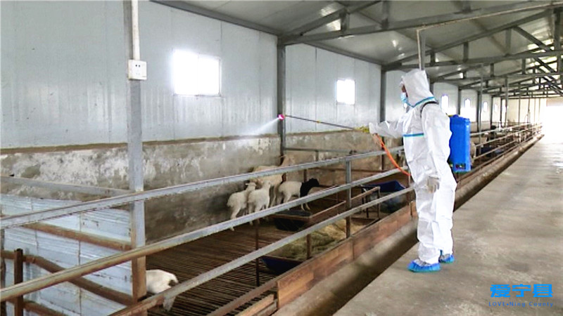 春季动物防疫工作开展情况,甘肃庆阳宁县防疫最新消息