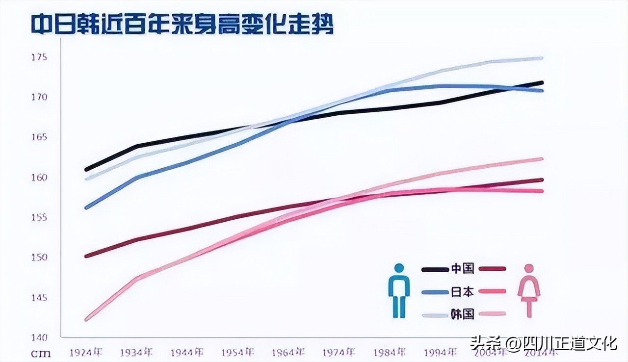 东亚人与白人体质差距,中国人与白种人对比