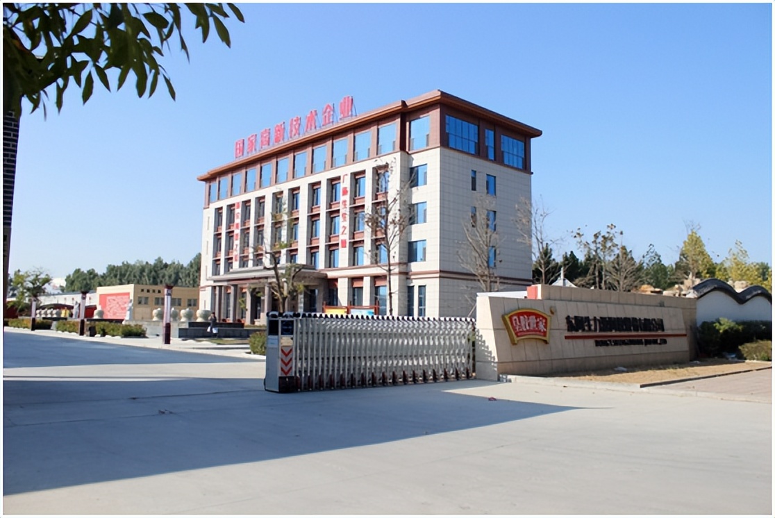 大明星平时吃什么,东阿生力源阿胶