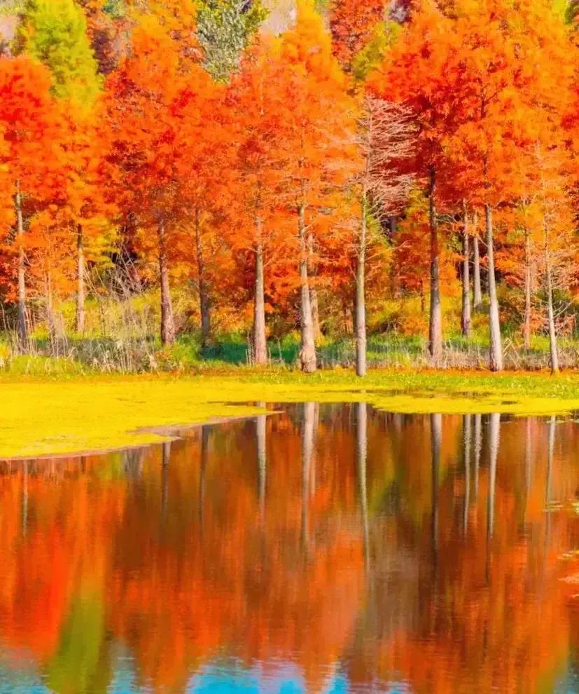 秋天的爱恋完整,秋天的爱恋