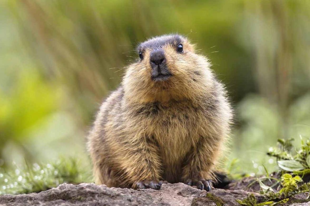 人体冬眠技术能实现吗,人类冬眠技术实现了吗