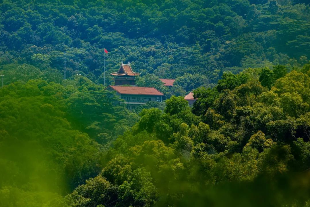 深圳凤凰山有条绿道叫什么,深圳凤凰山绿道旅游攻略