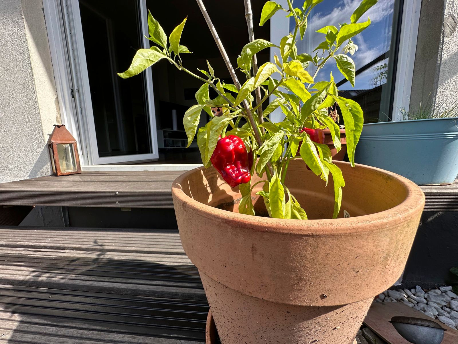 iphone14promax未来之役测试,苹果14promax分析与改进在哪里