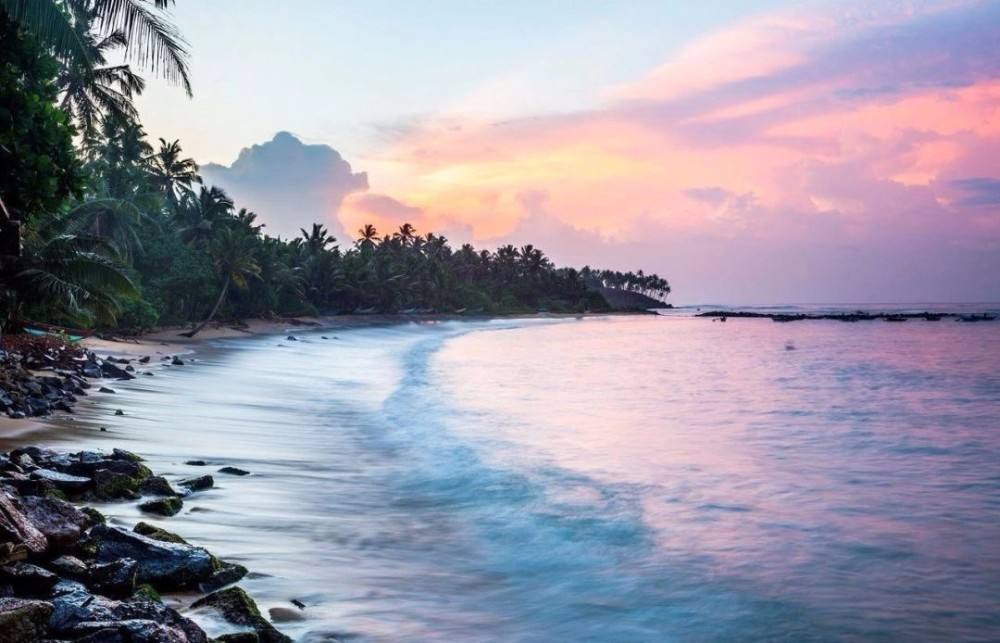 斯里兰卡国家破产民众怎么办,破产的国家斯里兰卡