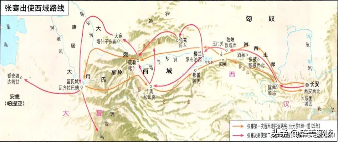 竹是风骨,平安竹养的如此茂盛