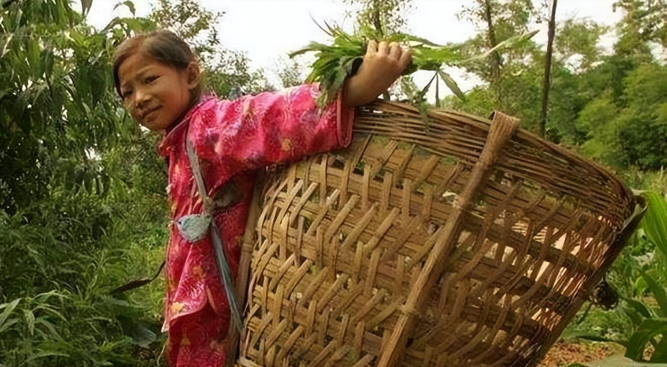 8岁白血病女孩现状,8岁女孩白血病自愿放弃治疗电影