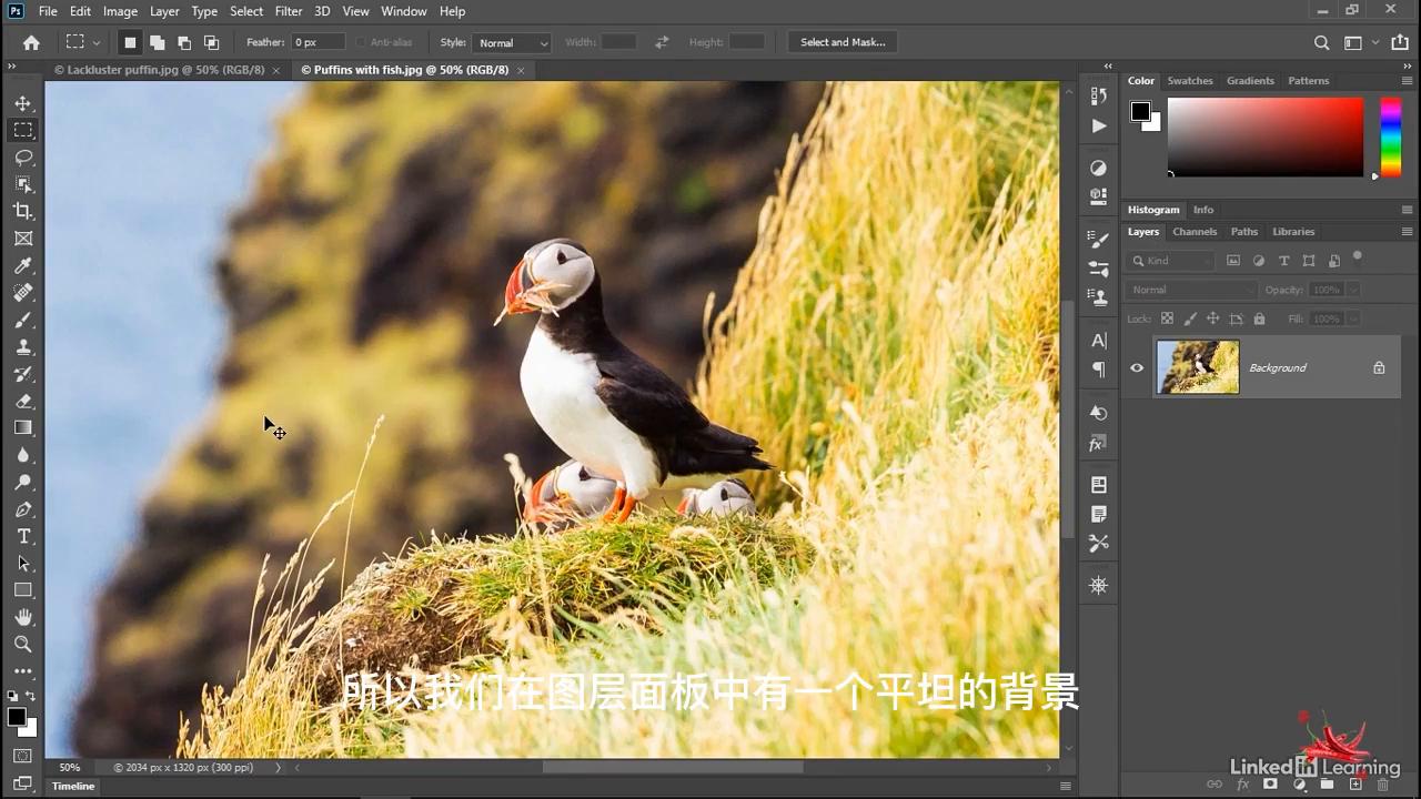 乐辣练习|亮度对比度调整技巧