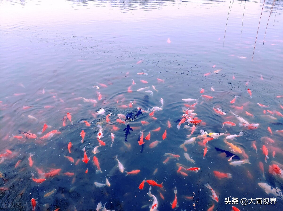 济南的冬天老舍,济南的冬天原文电子版