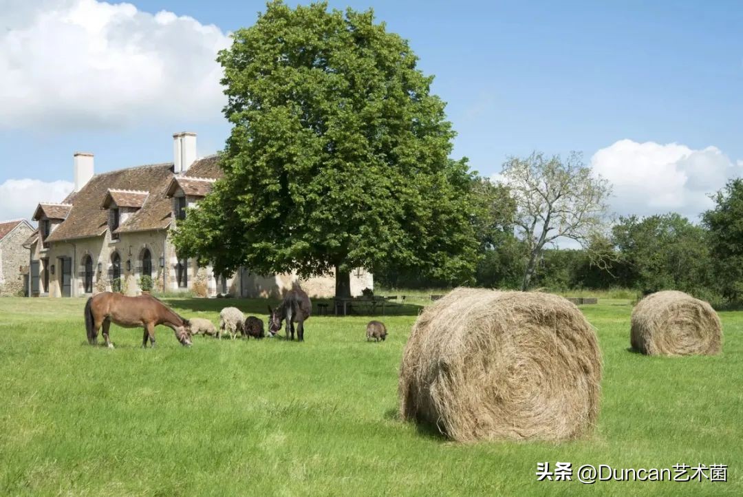 法国著名房屋设计师,法国设计师室内设计