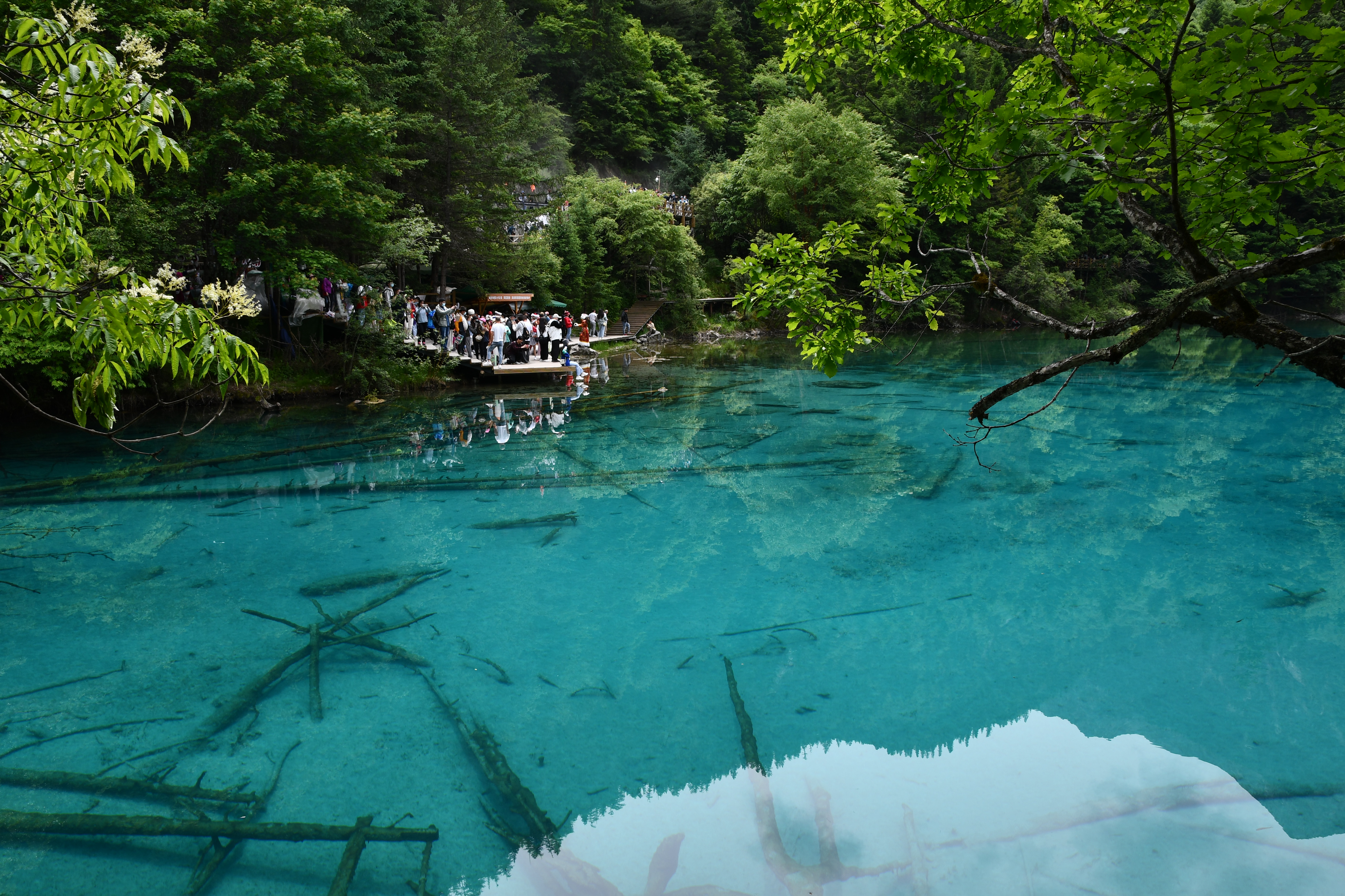 成都到九寨沟自驾旅游攻略自由行,成都到九寨沟旅游攻略最佳路线