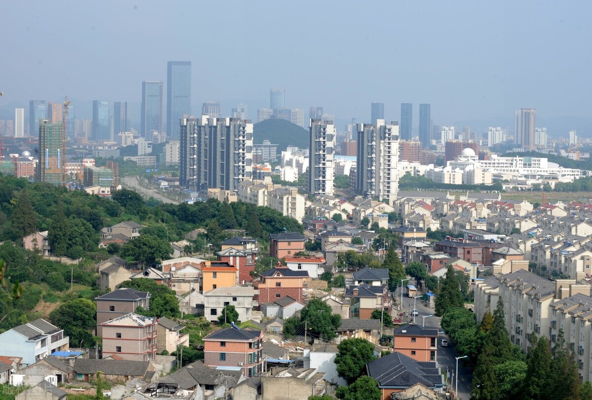 宠物自驾游舟山,舟山自驾游攻略出海带狗