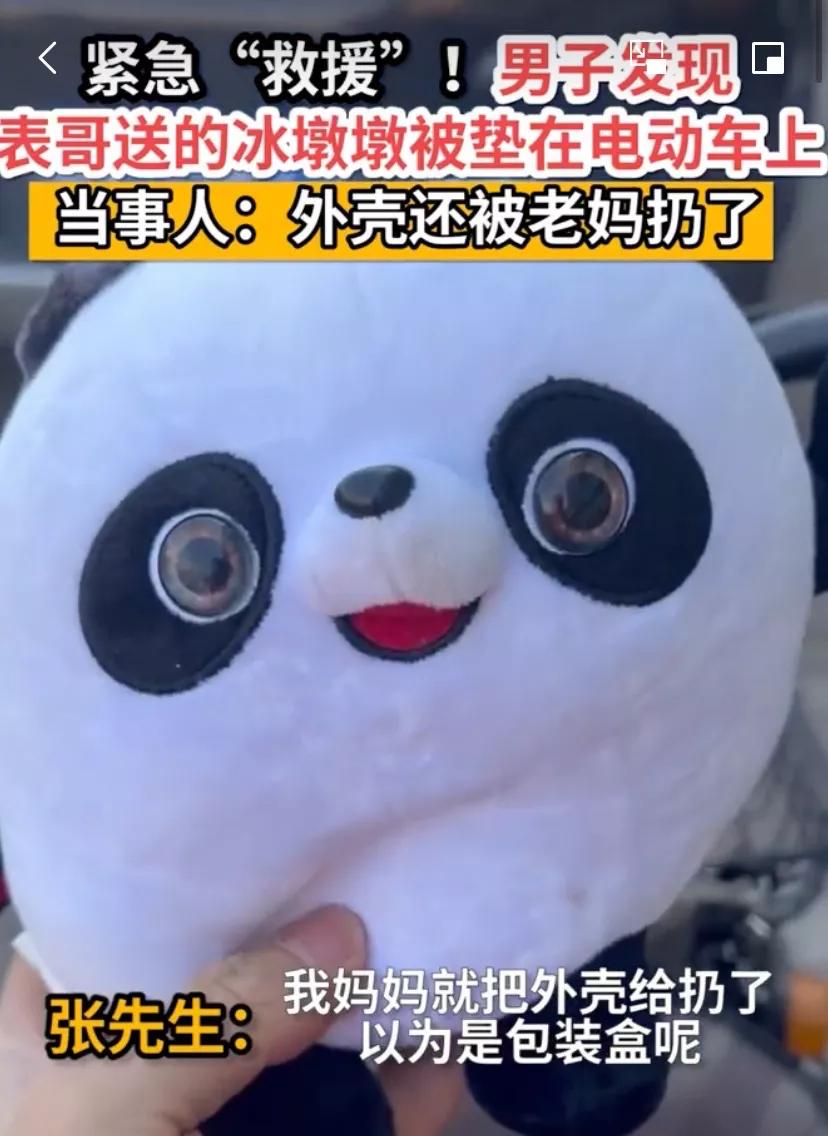 还没买到冰墩墩，已经被山寨货笑哭了