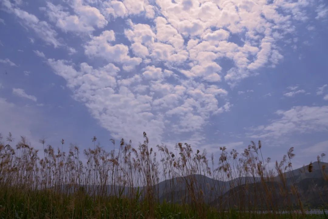 金城著名地方,金城历史由来