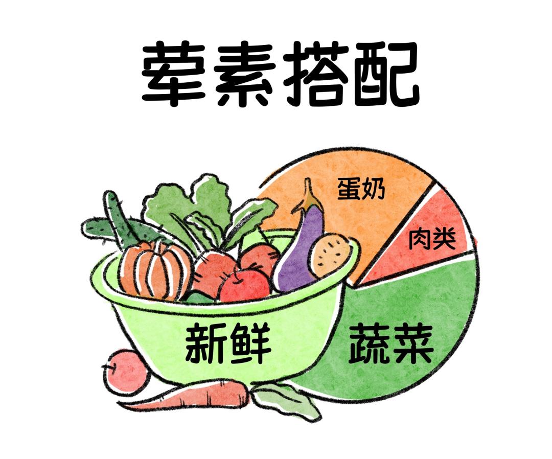 四高患者饮食食谱,四高人群饮食注意事项