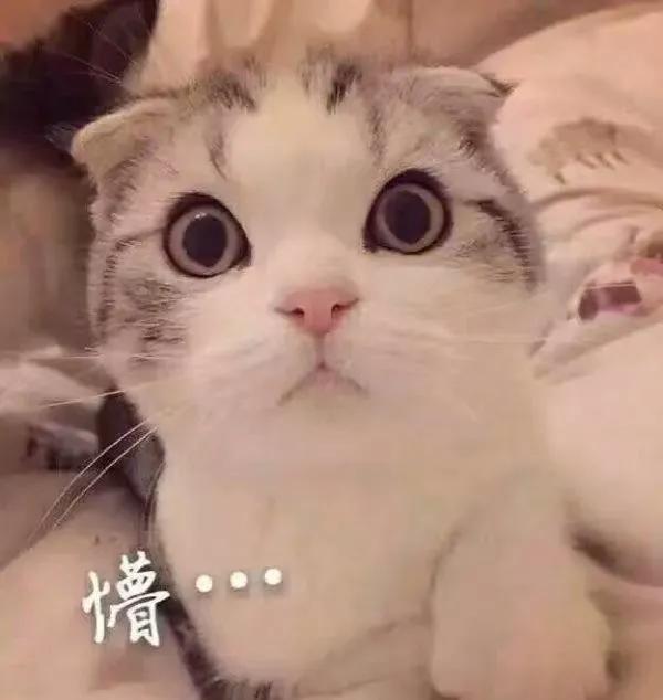 生活即教育7----导游《鸿门宴》之私人订制导游词