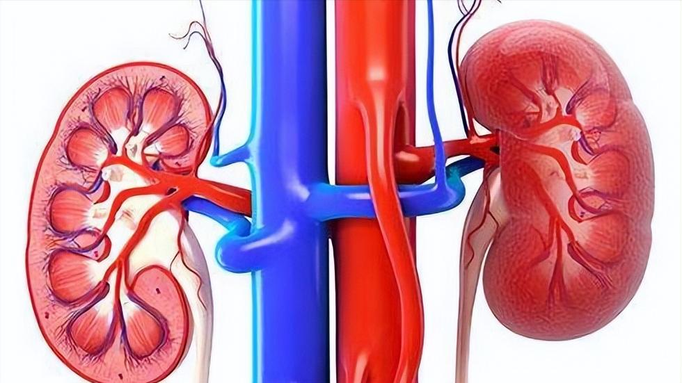 降糖效果好的药达格列净,降糖新药达格列净的效果