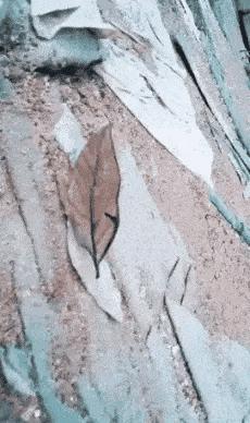 “车间女孩约我去她宿舍玩，这时候应该干点什么？”哈哈哈