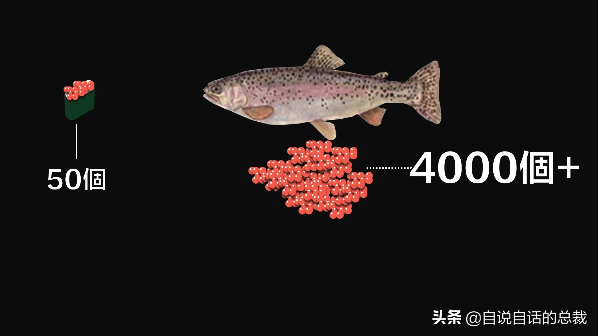国内的假三文鱼是什么鱼,哪种才是真正的三文鱼