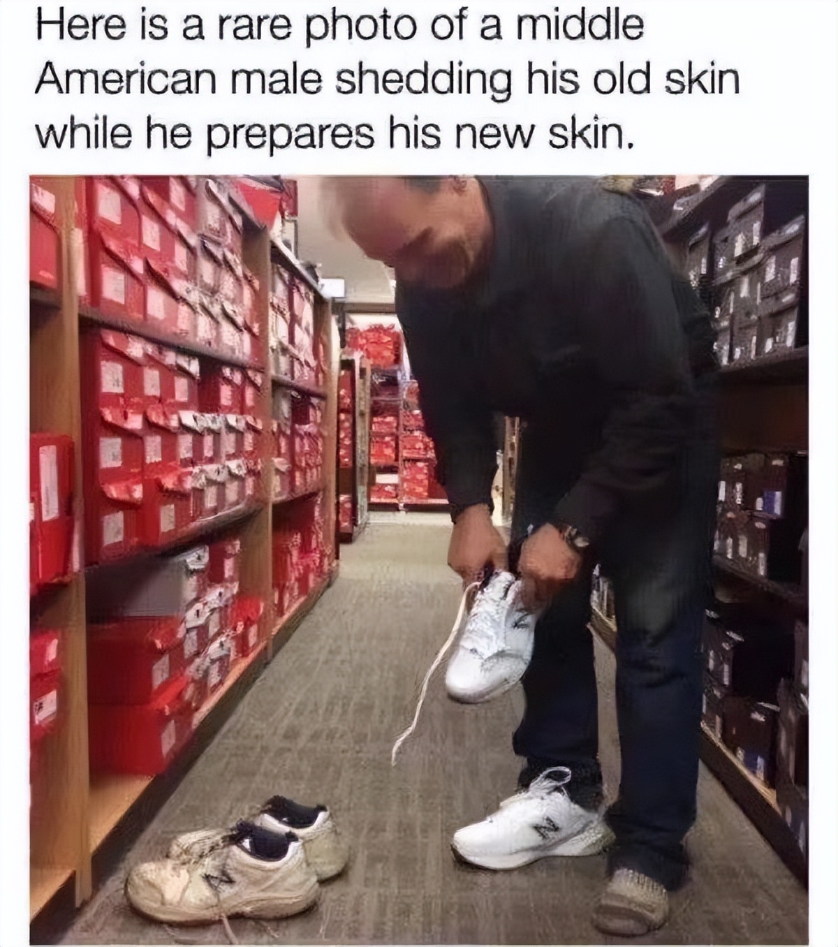 为什么新百伦的鞋型和nb一模一样,为什么新百伦运动鞋是潮鞋