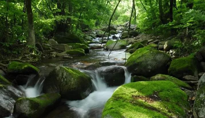 抚顺猴石国家森林公园,抚顺猴石森林公园视频