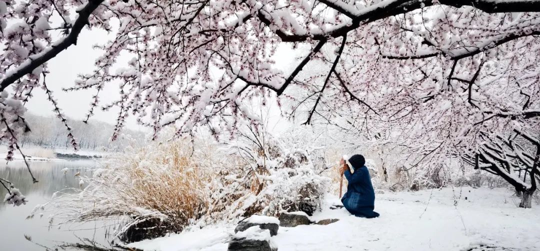春雪初霁,春雪初霁杏花正芳月上夜吟