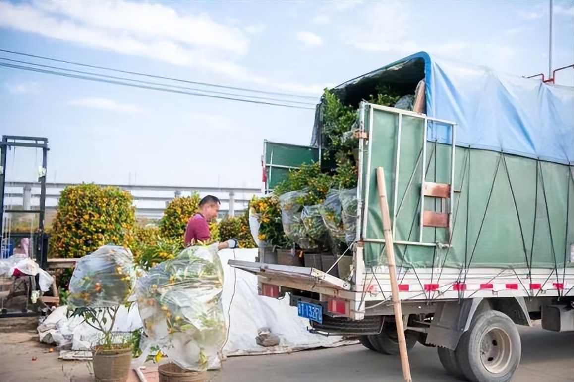 广州市番禺区融媒体中心社会责任报告（2022年度）