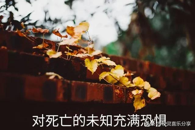 怎么缓解害怕死亡心理焦虑,死亡焦虑和死亡恐惧