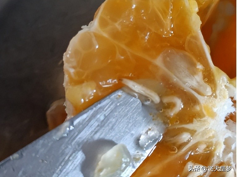 你的柑园布防果蝇未？