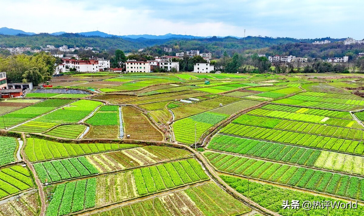 美版知乎上为什么中国话题最多,国外网友评论中国知乎