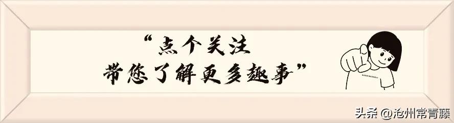 「名校介绍」沧州一中：高一教师新团队，凝心聚力再出发