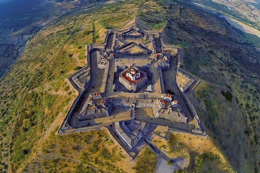 卖鱼起家，励志成为海贼王的男人，他的履历堪比“高启强”