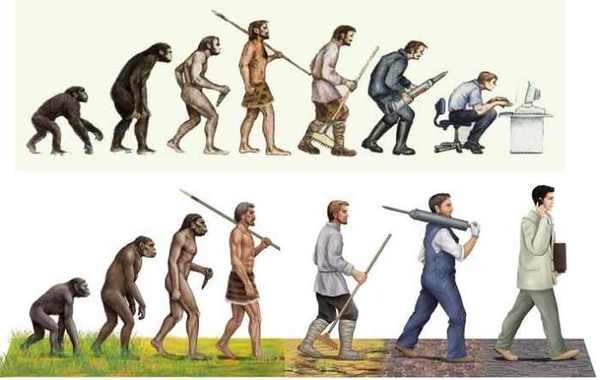 自然界什么动物活的时间最长,什么动物成年时间最长