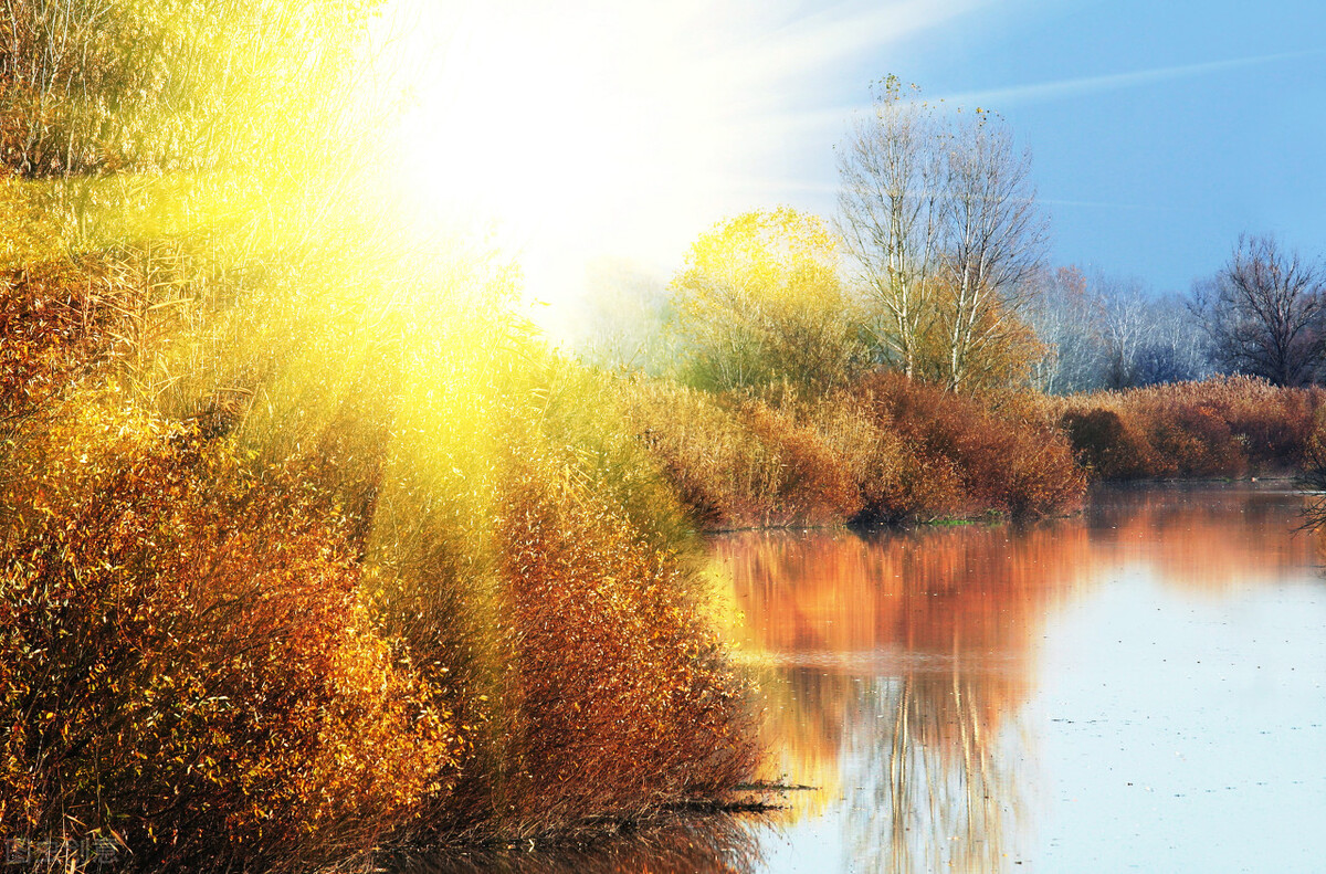 黄昏完整版免费阅读,黄昏剧情完整版