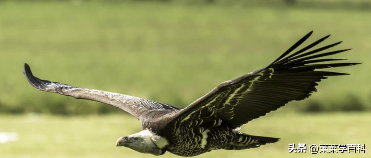 10个基本物理概念-让你知道物理学有多难