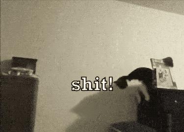 两只猫打架喵星人殊死搏斗满嘴毛,两只猫打架互拔胡子