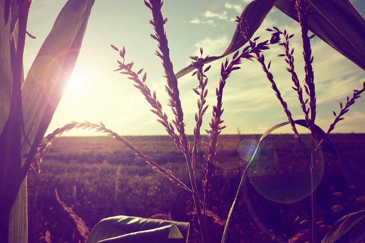 帮人三忙一生灾殃什么意思,帮人三件事