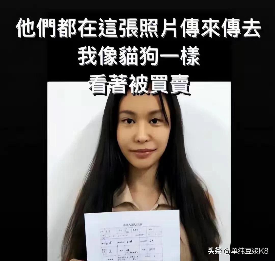台湾女网红被骗柬埔寨后续,台湾女网红被骗柬埔寨怎么回来的
