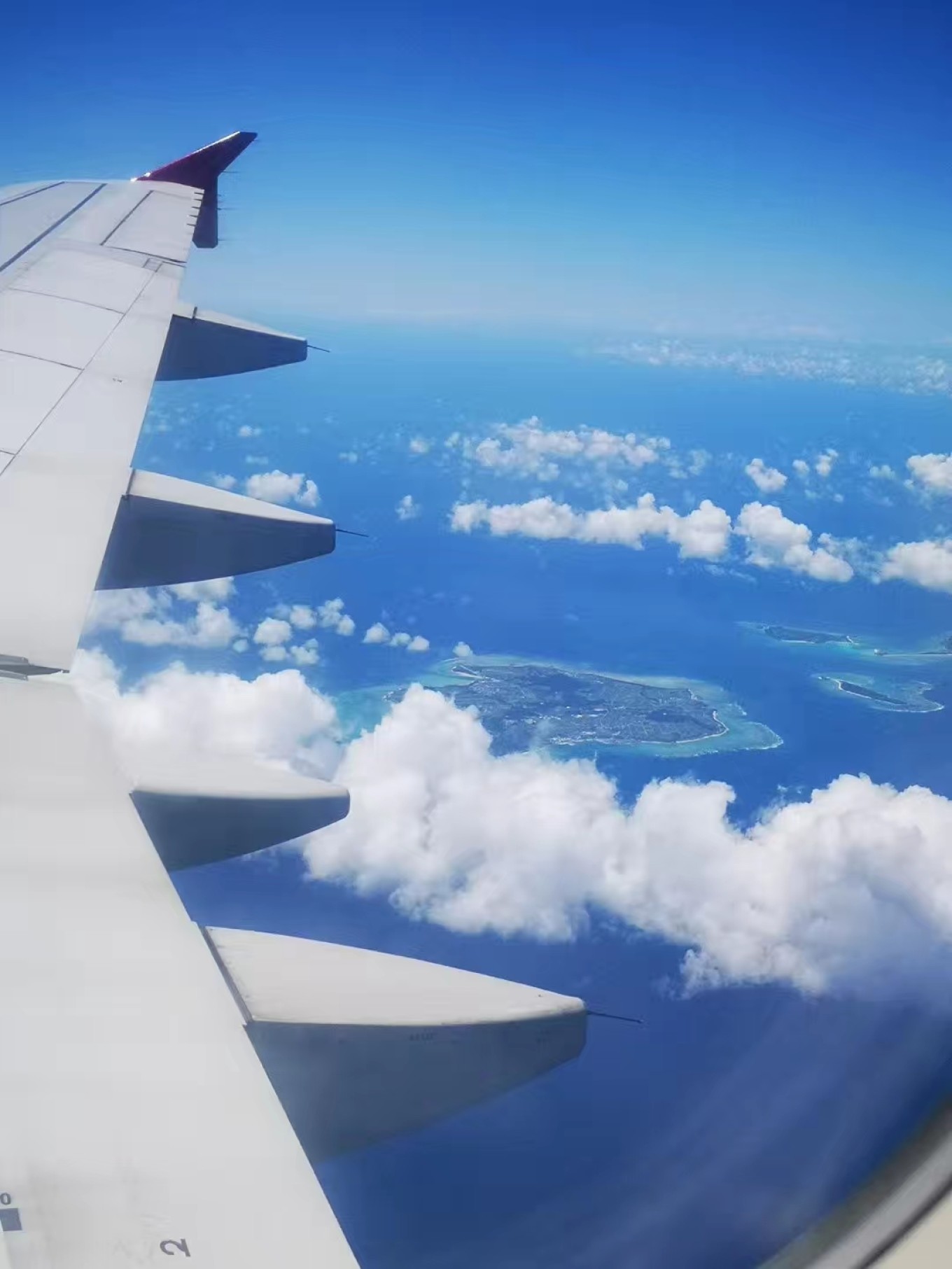 暑期档2019年,2019年暑期档