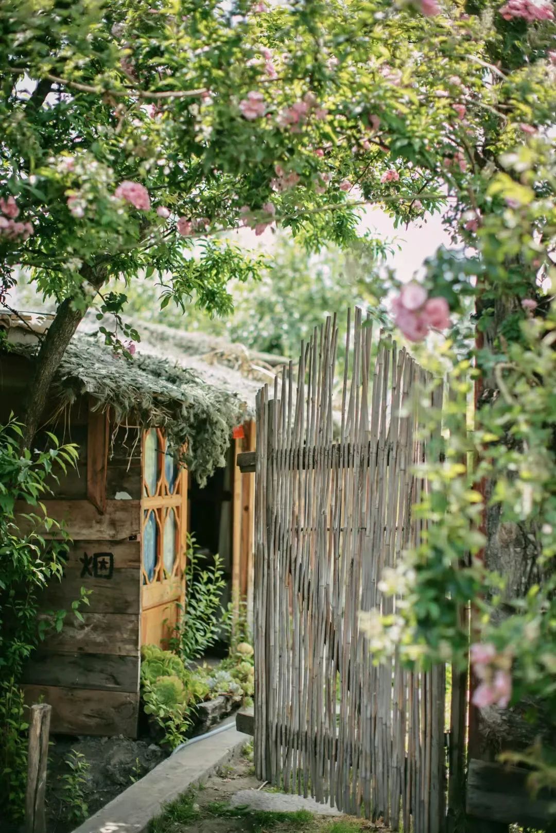 大理游玩攻略3天2晚,大理环海一日游攻略12点出发