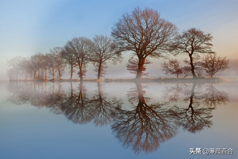 20张罕见又迷人的照片,2021年意大利锡耶纳国际摄影奖