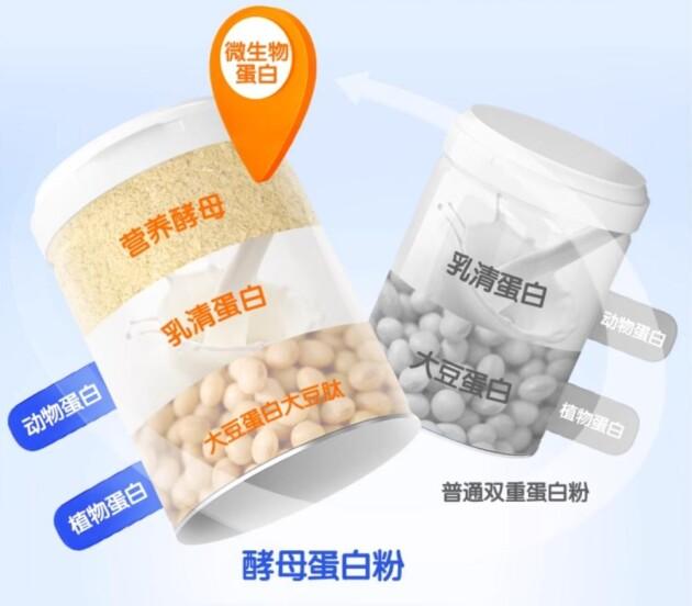 安琪纽特酵母蛋白粉上不上火,安琪纽特乳铁蛋白含有益生菌