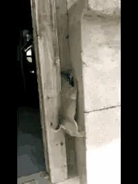 今日动图：前不久交了一位女朋友，昨天晚上约会时忍不住吻了她