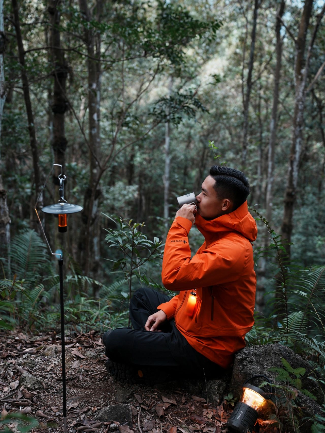 厦门森林公园免费景点,厦门森林旅游