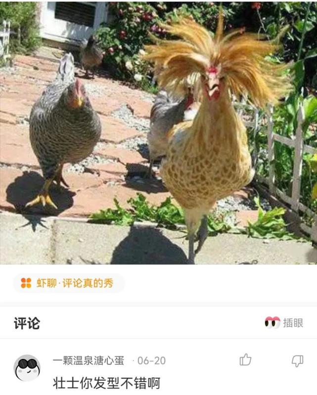 老婆坐同事的副驾驶 (老婆同事坐副驾驶)