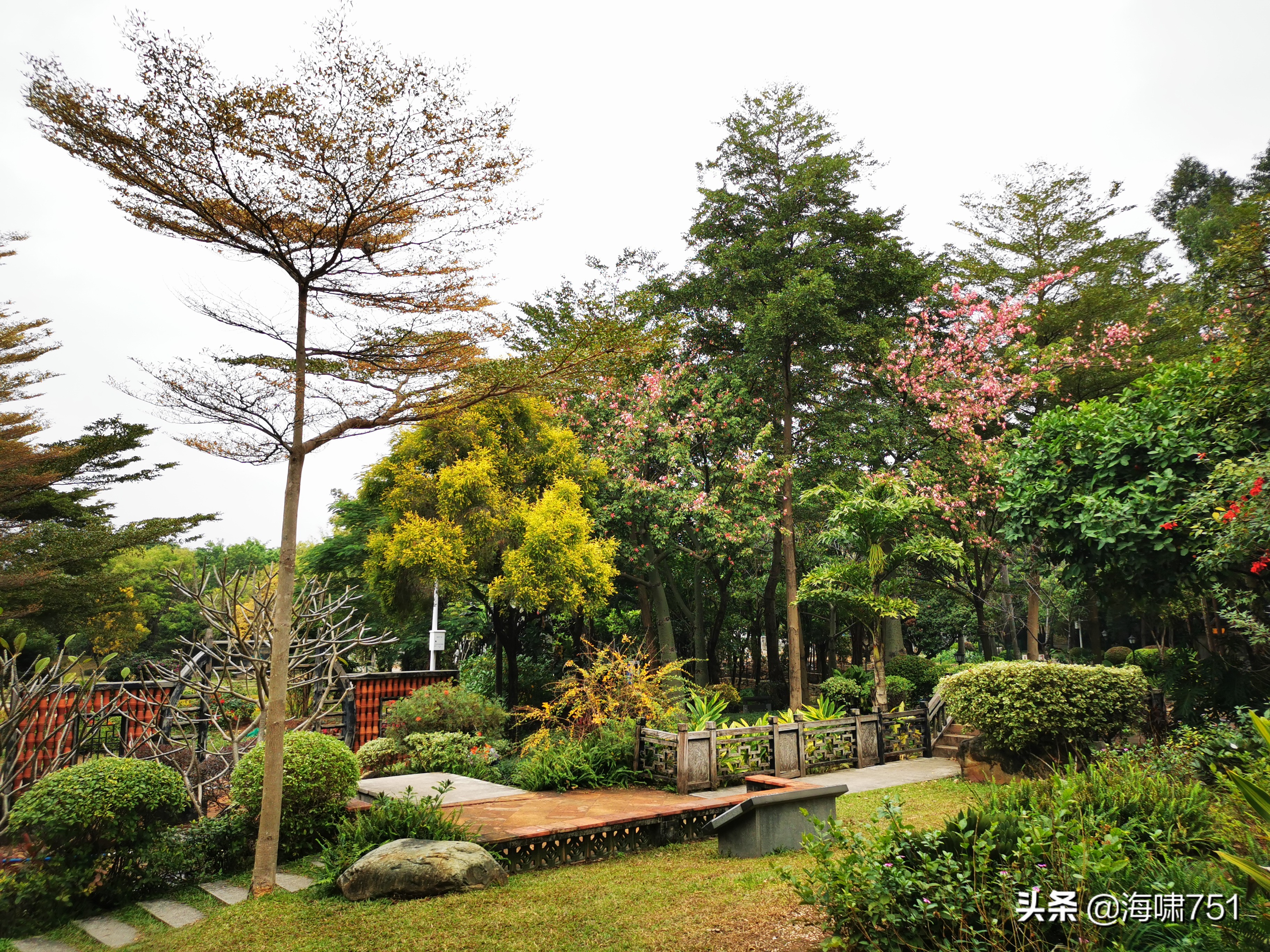 陈田花园全景图,陈田花园照片