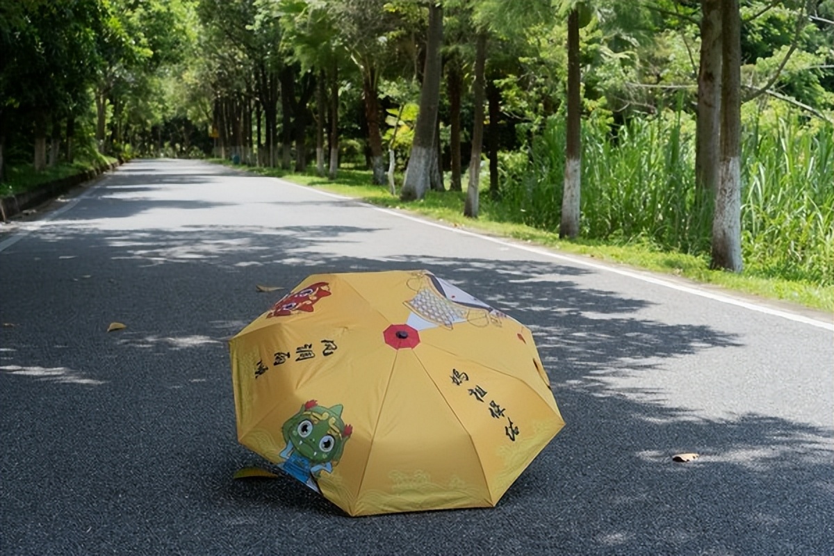 湾区光影魅力,南沙湾区超美风景线