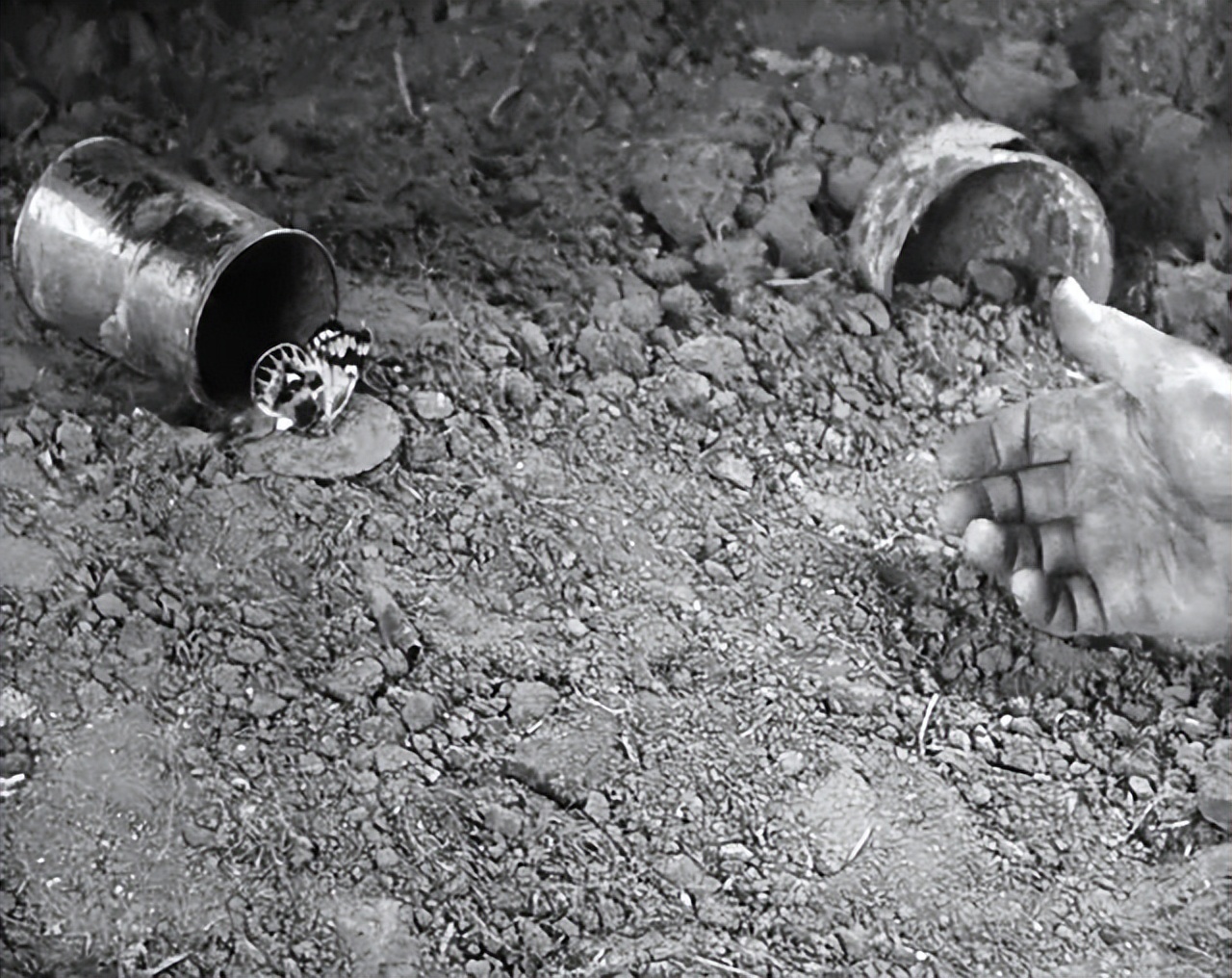 影史最伟大的*片禁**，回归就拿下“年度第一”