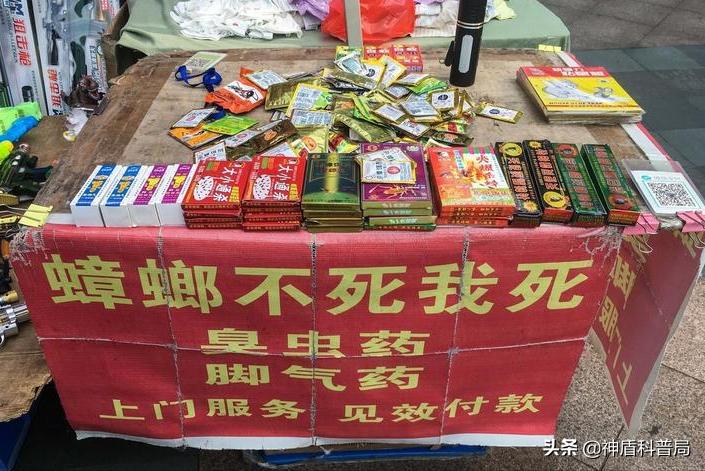 明明蟑螂爬到身上就不见了,有人把蟑螂给踩死了